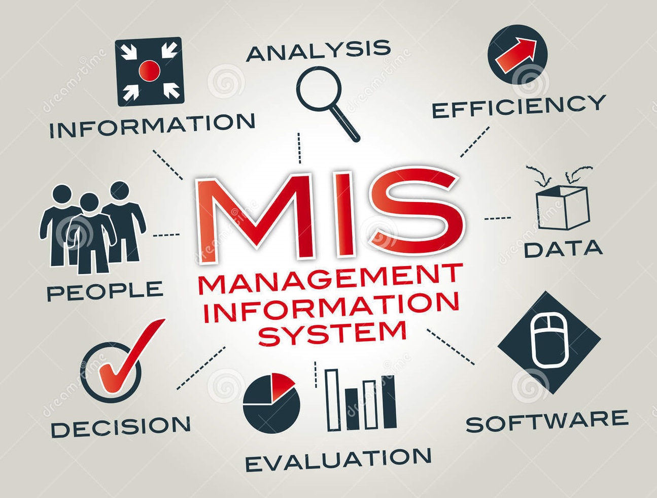 management information system course